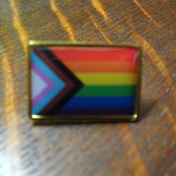 🌈 Progress Gay Pride Rainbow Flag Lapel Pin - Picture 4 of 4